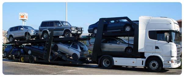 Moss Transport